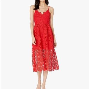 ASTR the Label sleeveless lace midi dress